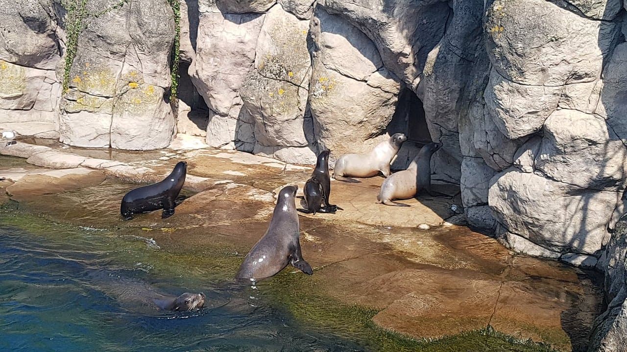 Location photo from TripAdvisor