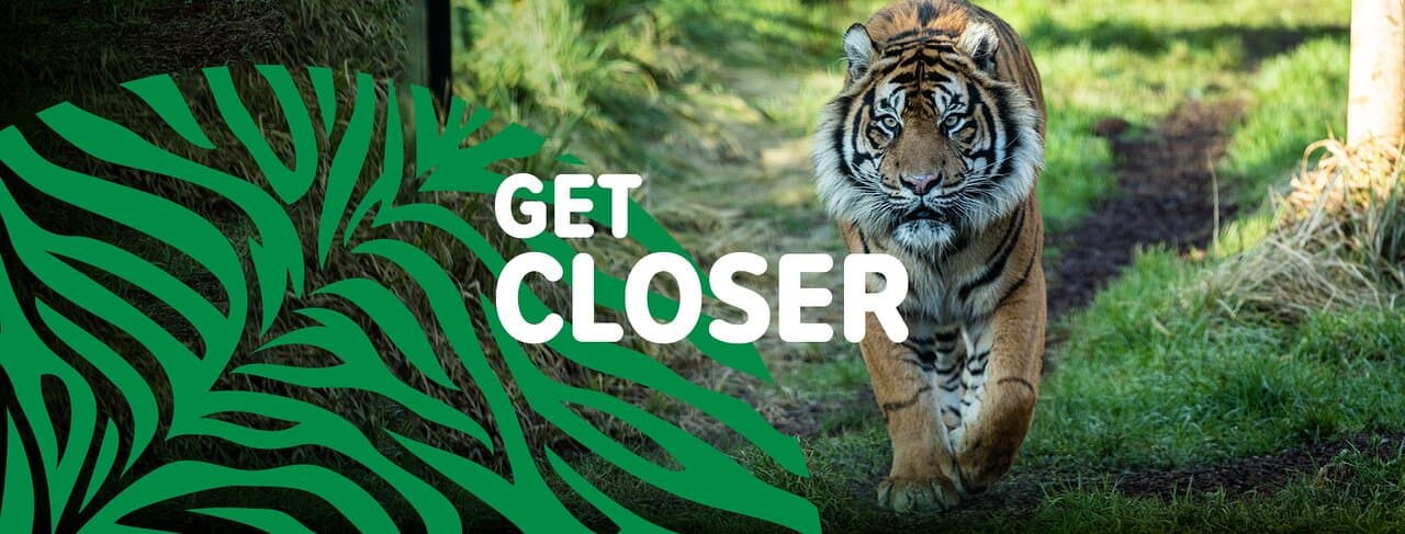 Get closer to wildlife at London Zoo