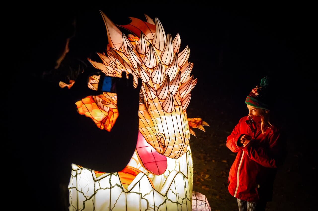 Lichtfestival Dragons of the North - ZOO Planckendael