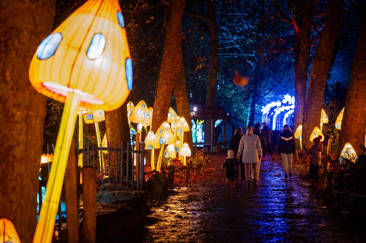 Lichtfestival Dragons of the North - ZOO Planckendael