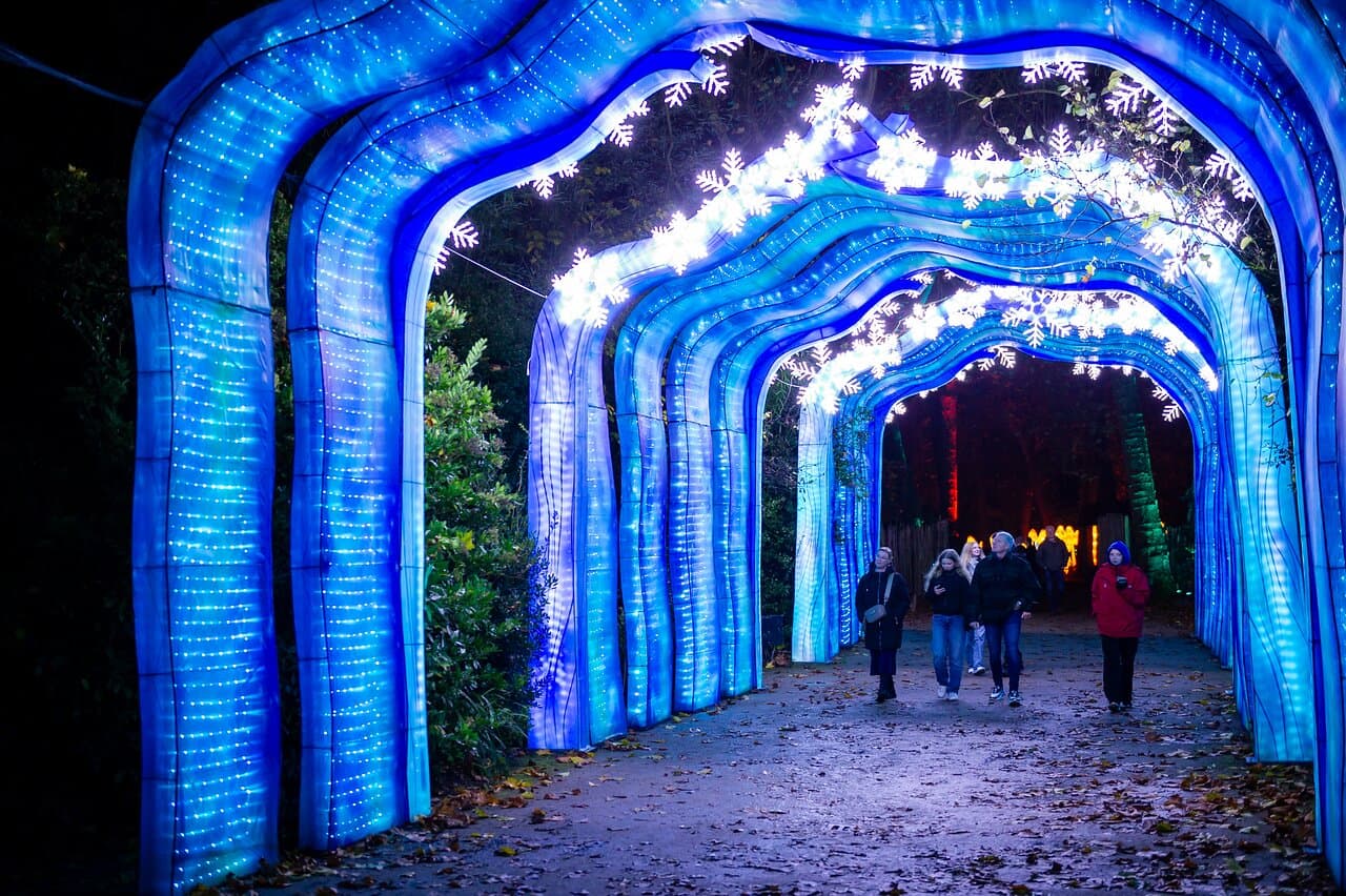 Lichtfestival Dragons of the North - ZOO Planckendael