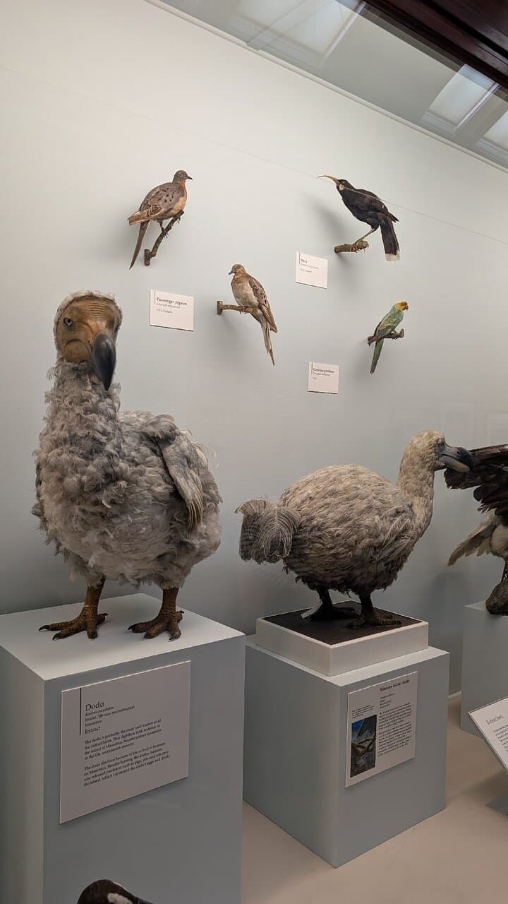 Location photo from TripAdvisor