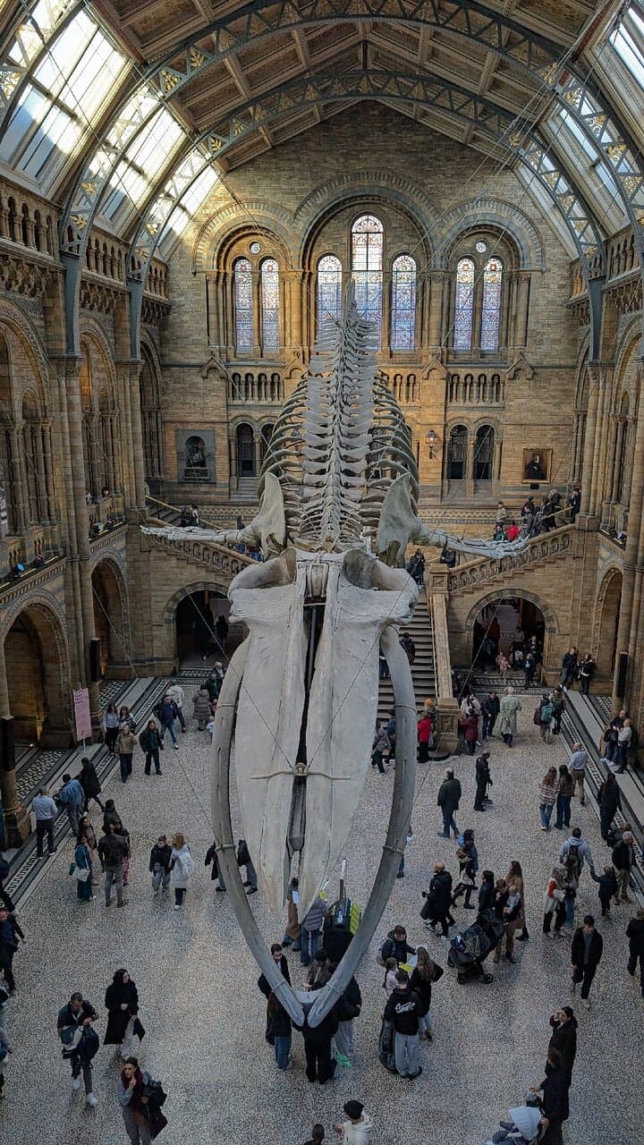 Location photo from TripAdvisor