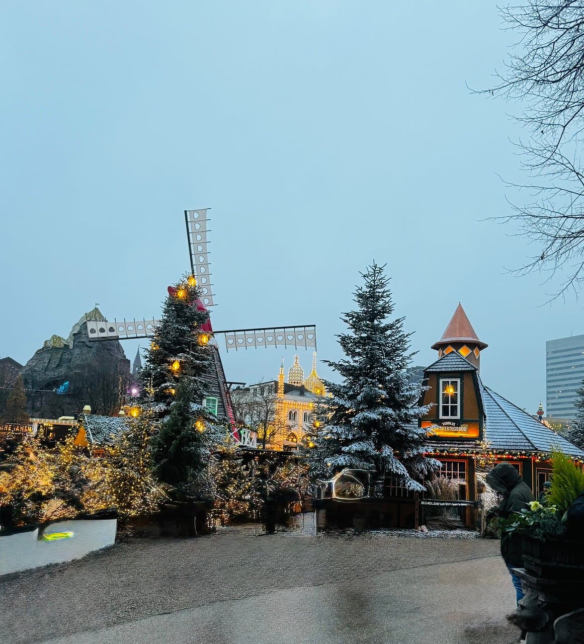 Location photo from TripAdvisor