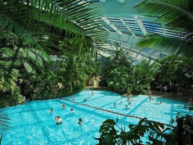 Subtropical Swimming Paradise