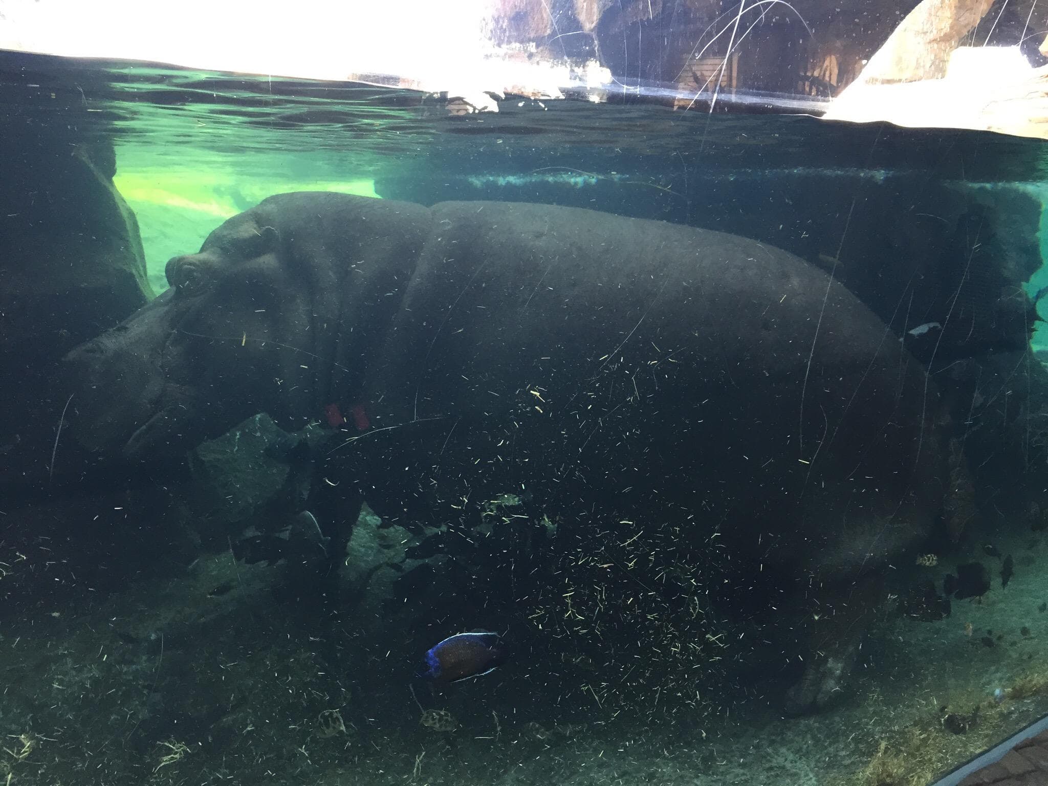 Location photo from TripAdvisor