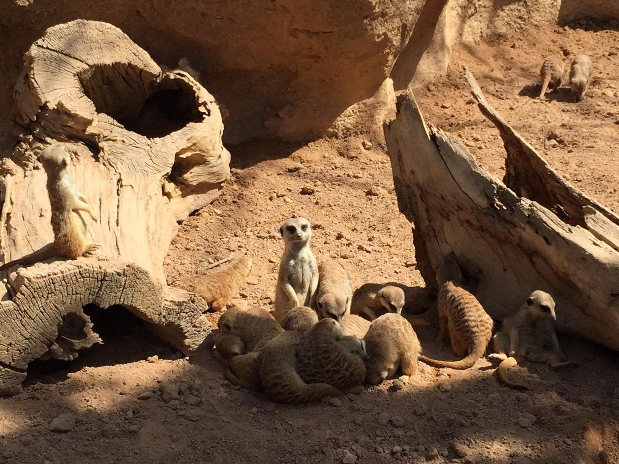 Location photo from TripAdvisor