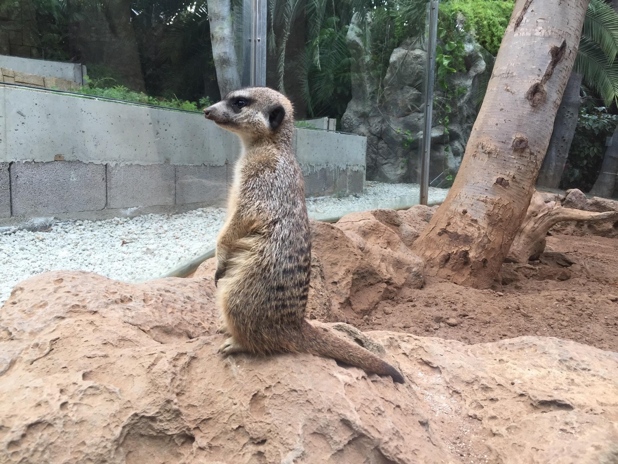 Location photo from TripAdvisor