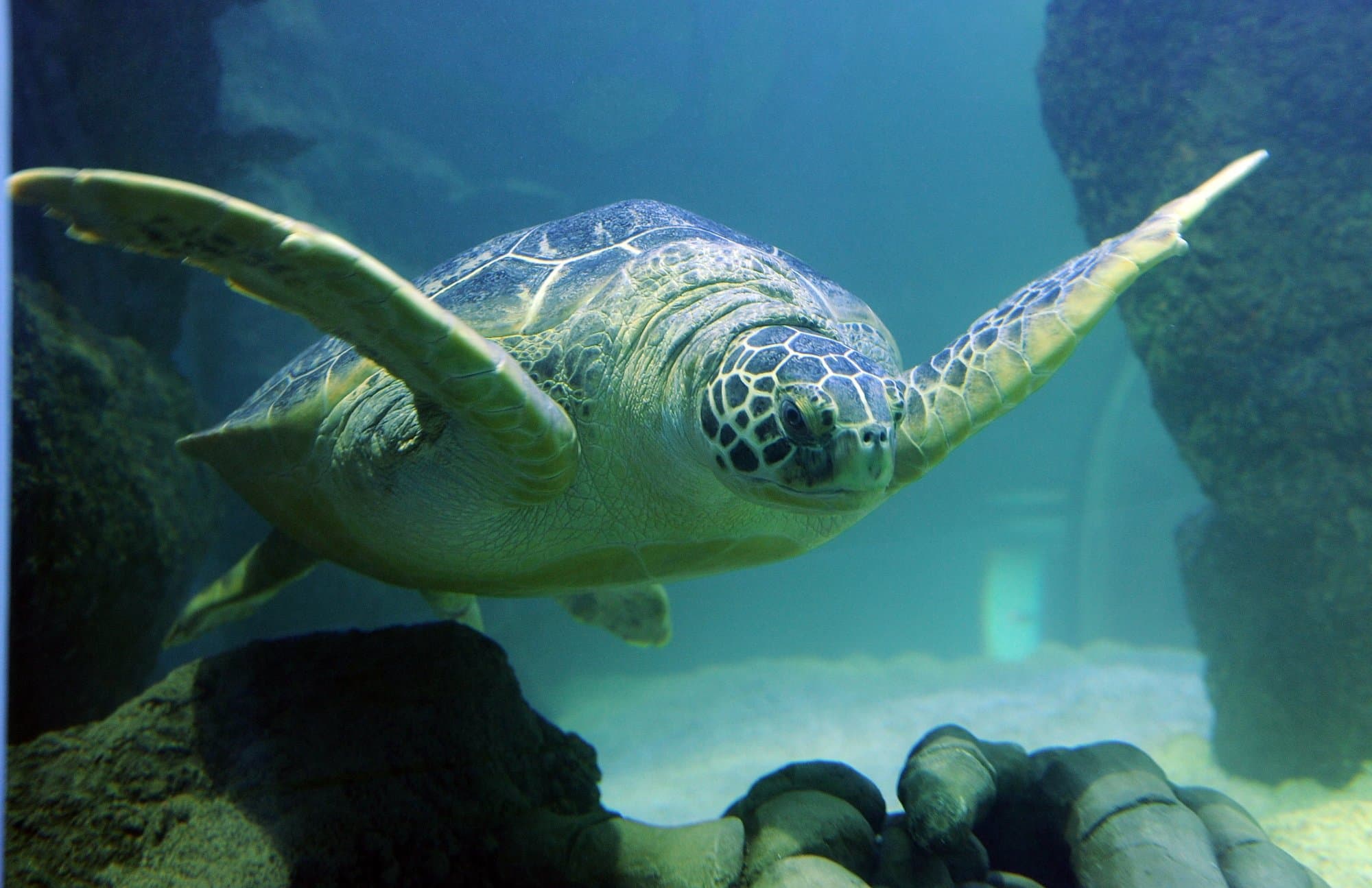 Location photo from TripAdvisor