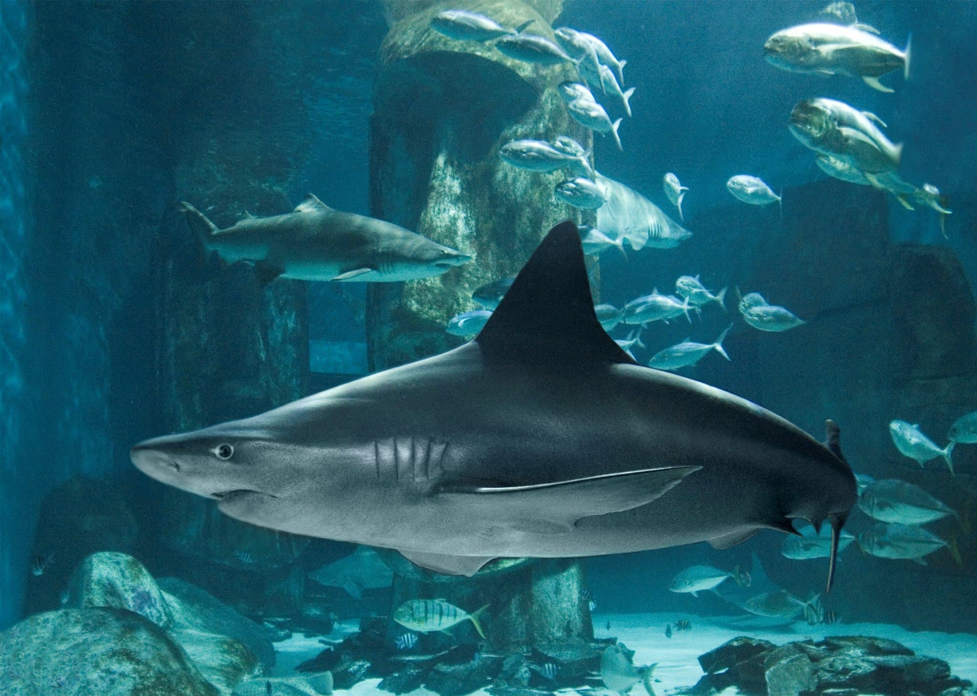 Location photo from TripAdvisor