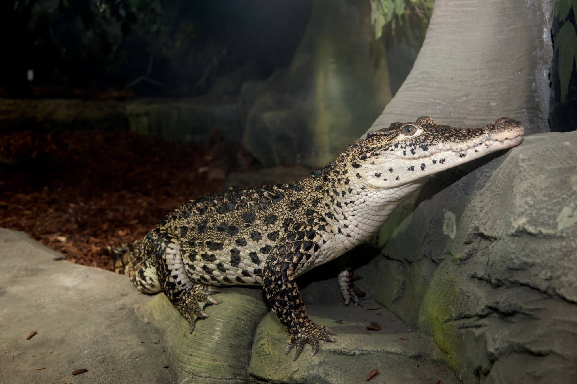 Location photo from TripAdvisor