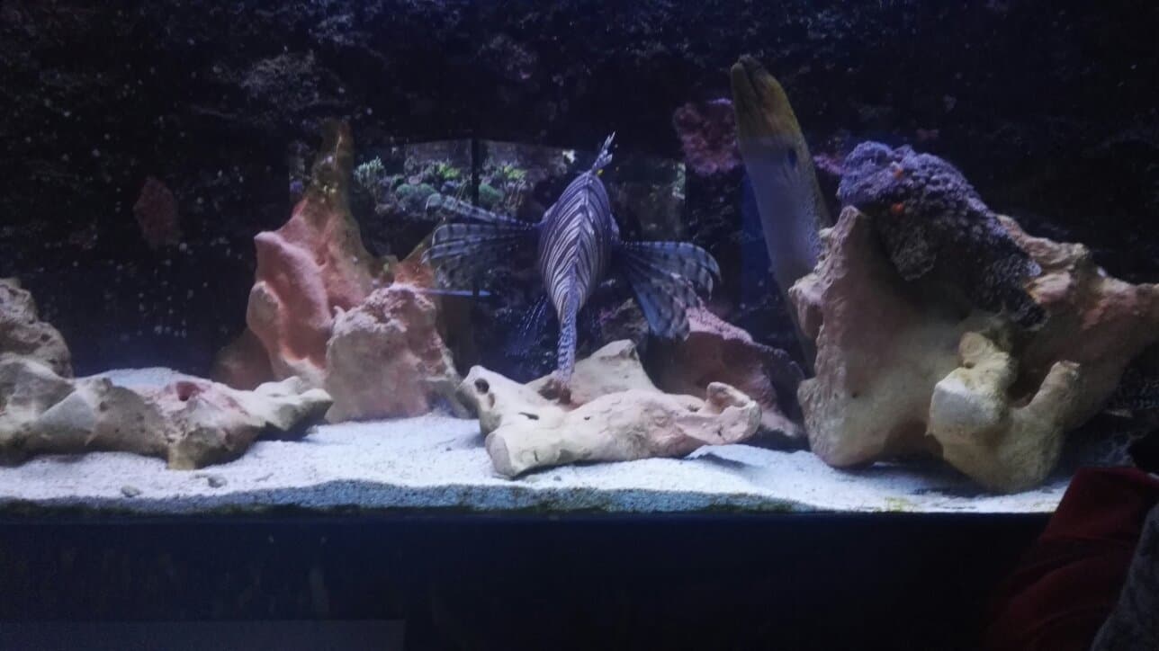 Location photo from TripAdvisor