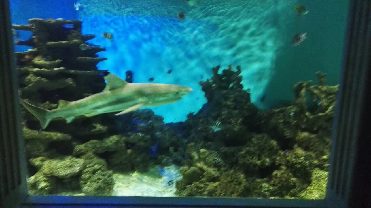 Location photo from TripAdvisor