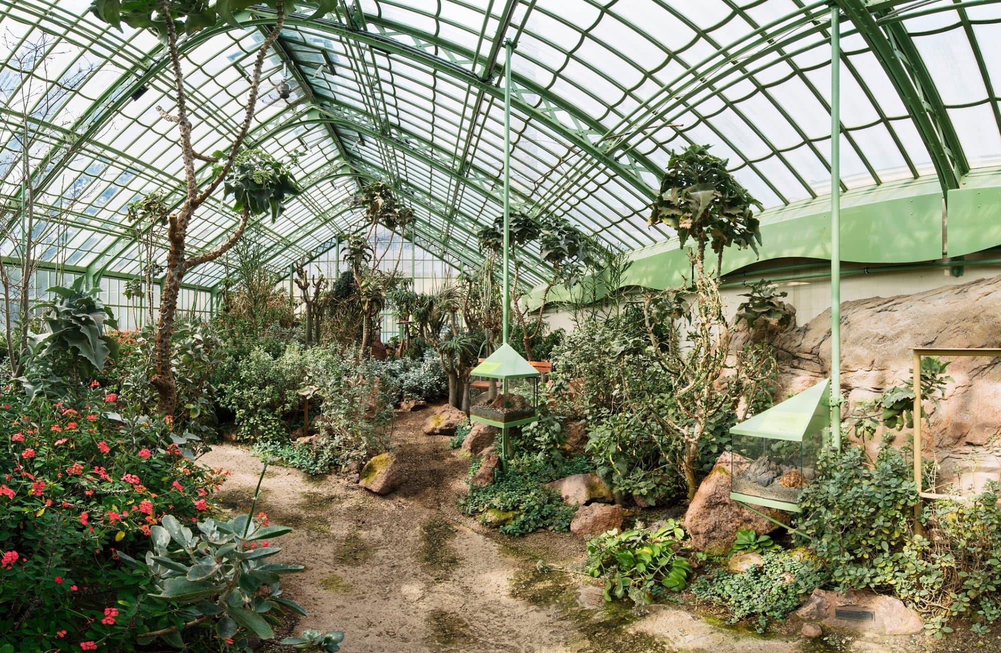 Wüstenhaus  (copyright Daniel Zupanc)