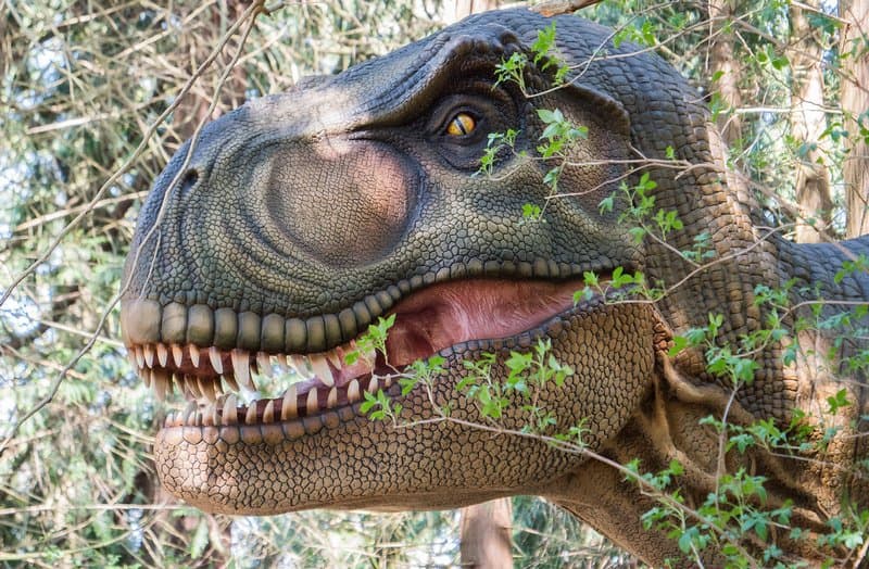 Vores Dinosaurskov byder på et møde med enestående dinoer - der både vækker begejstring og gys!