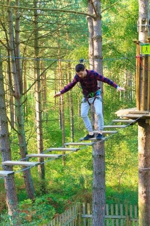 Tree Top Fun at Go Ape