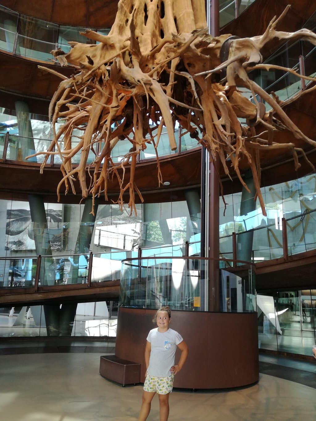 Location photo from TripAdvisor