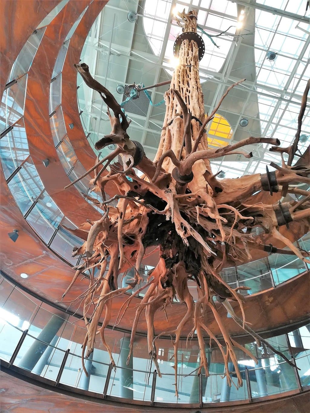 Location photo from TripAdvisor