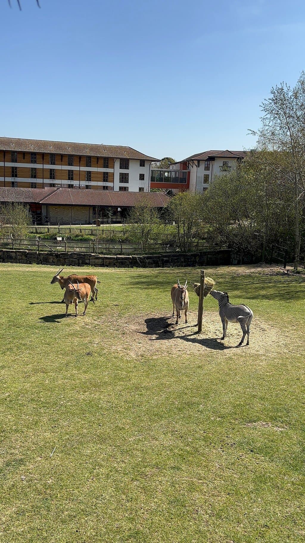 Location photo from TripAdvisor