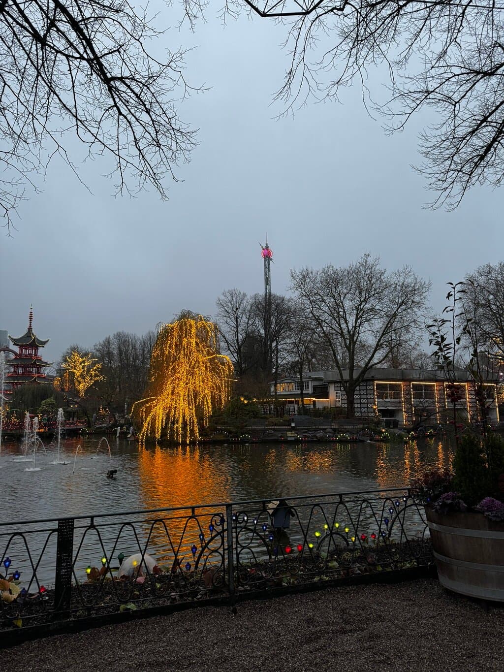 Location photo from TripAdvisor