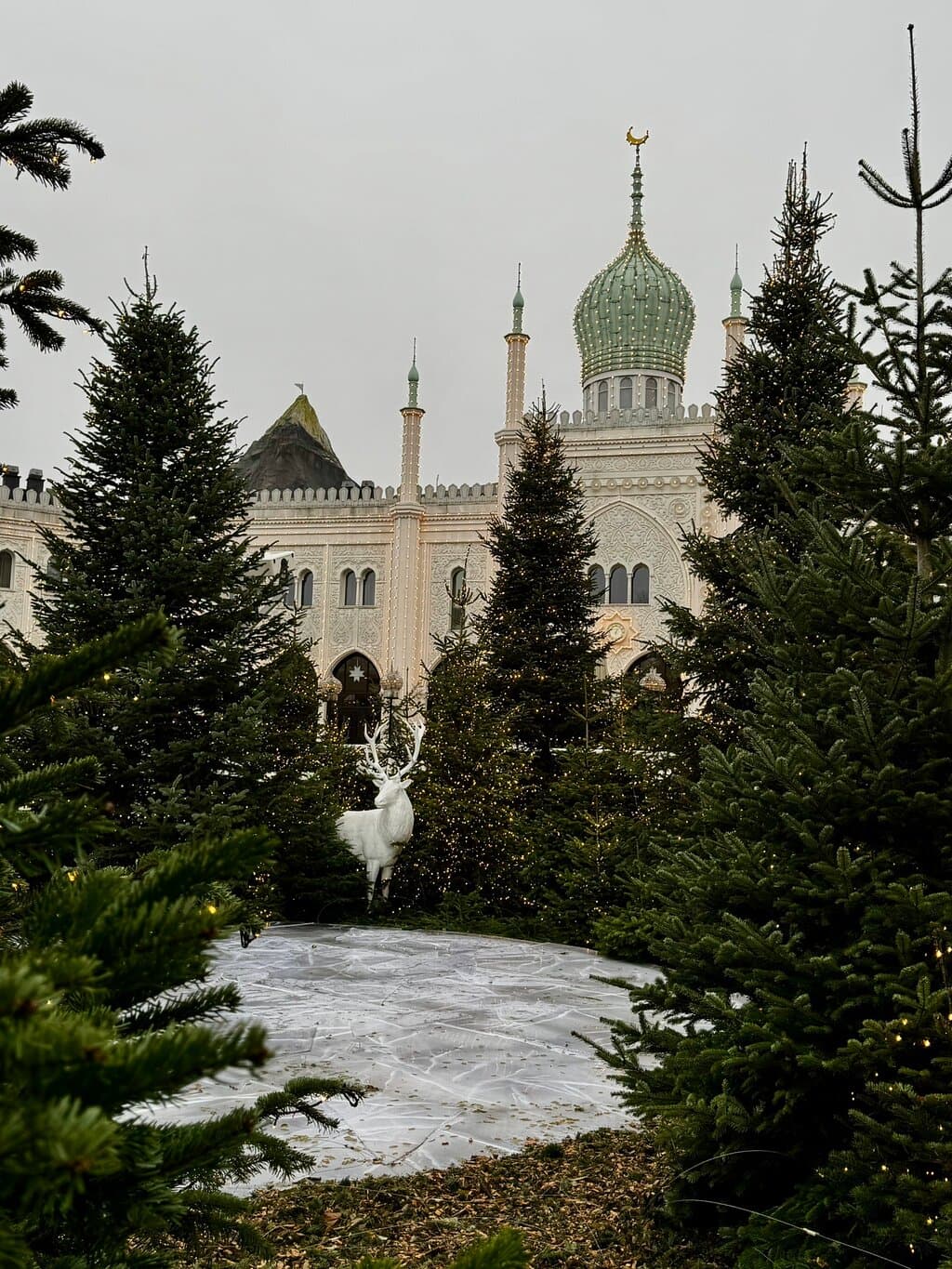 Location photo from TripAdvisor