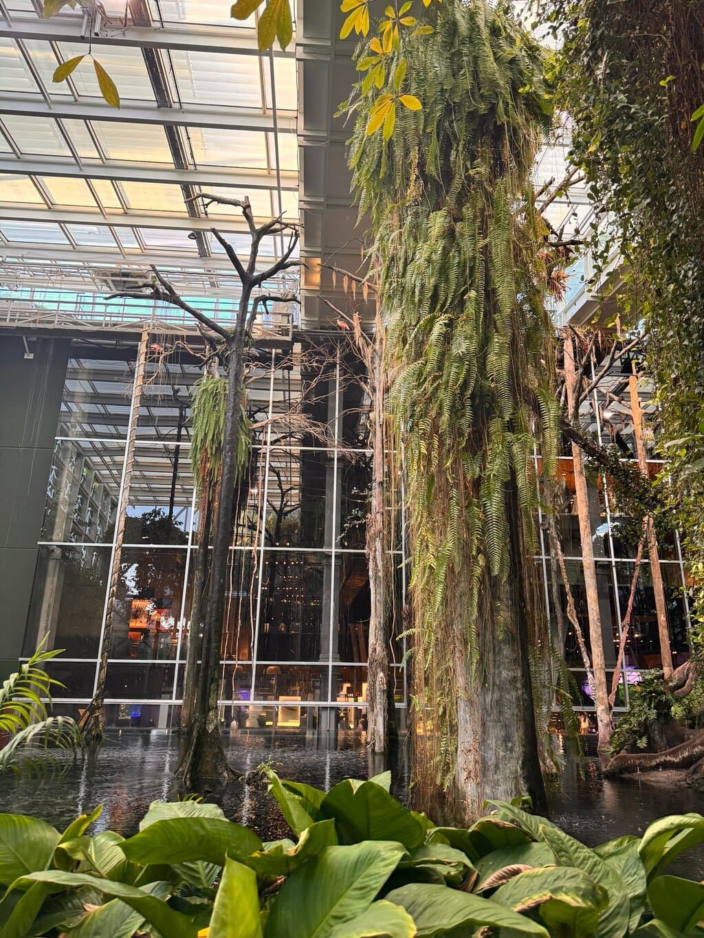 Location photo from TripAdvisor