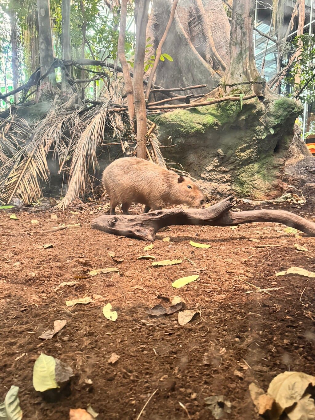 Location photo from TripAdvisor