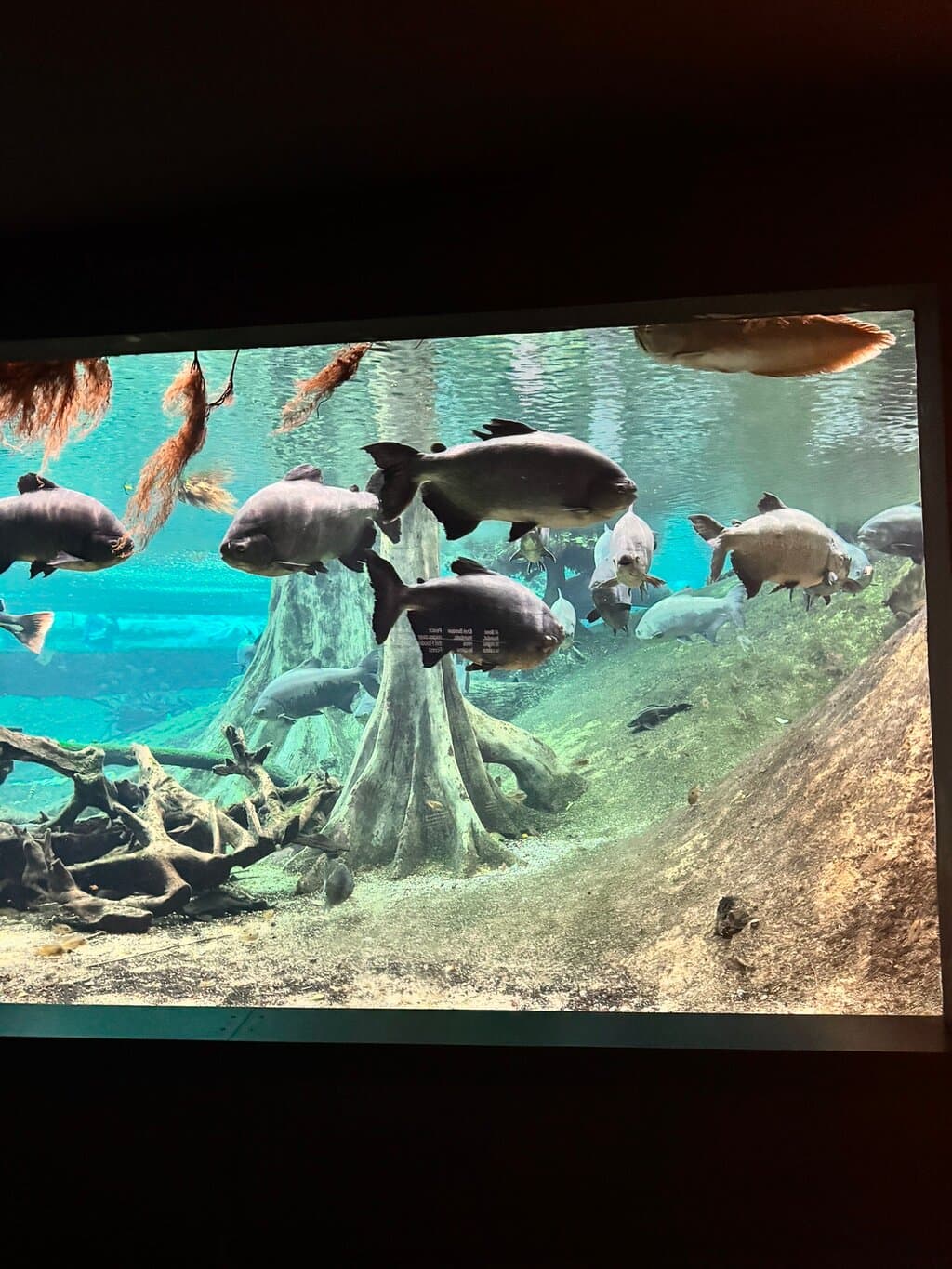 Location photo from TripAdvisor