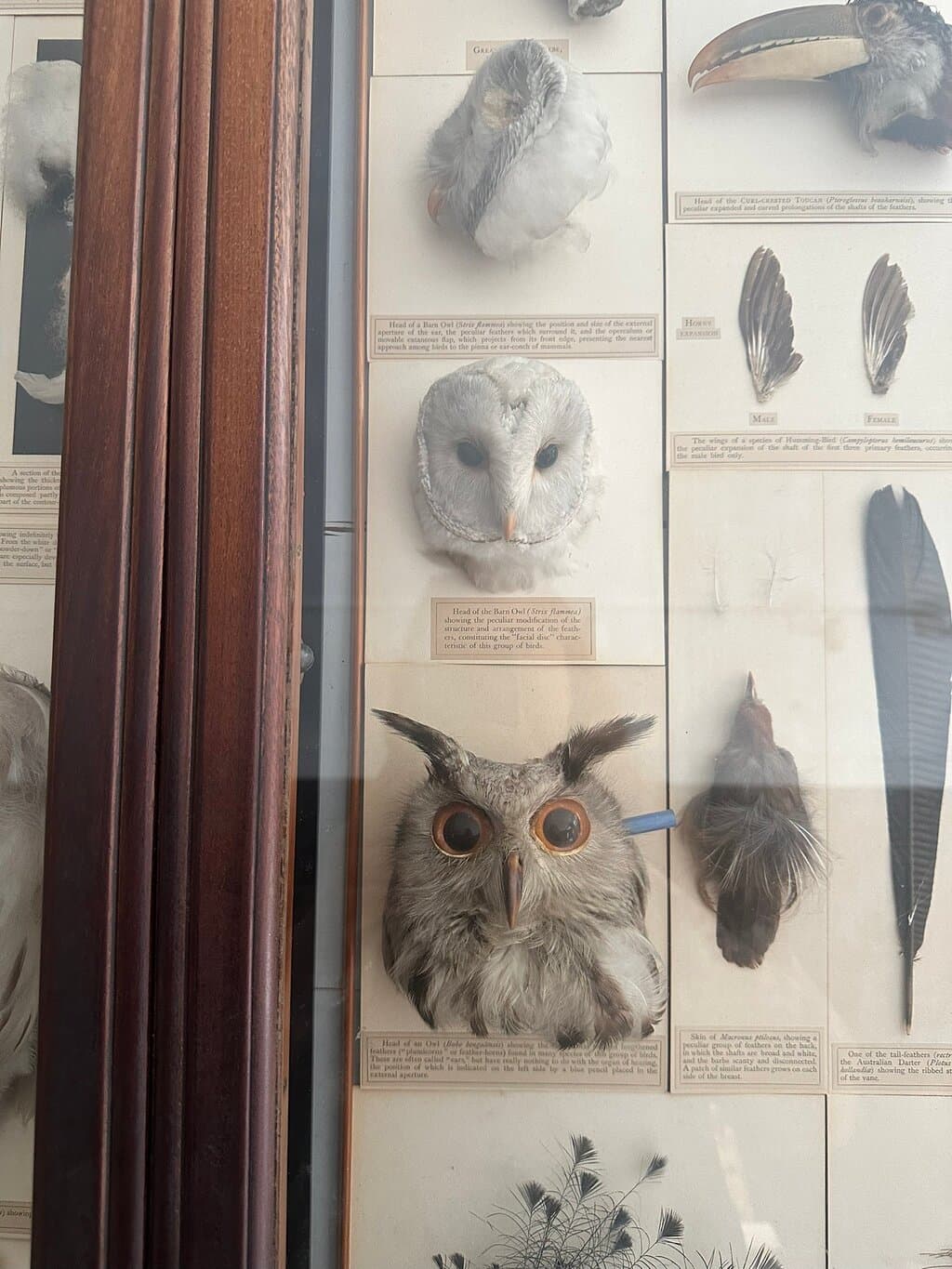 Location photo from TripAdvisor