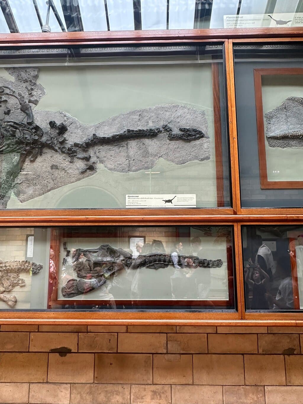 Location photo from TripAdvisor