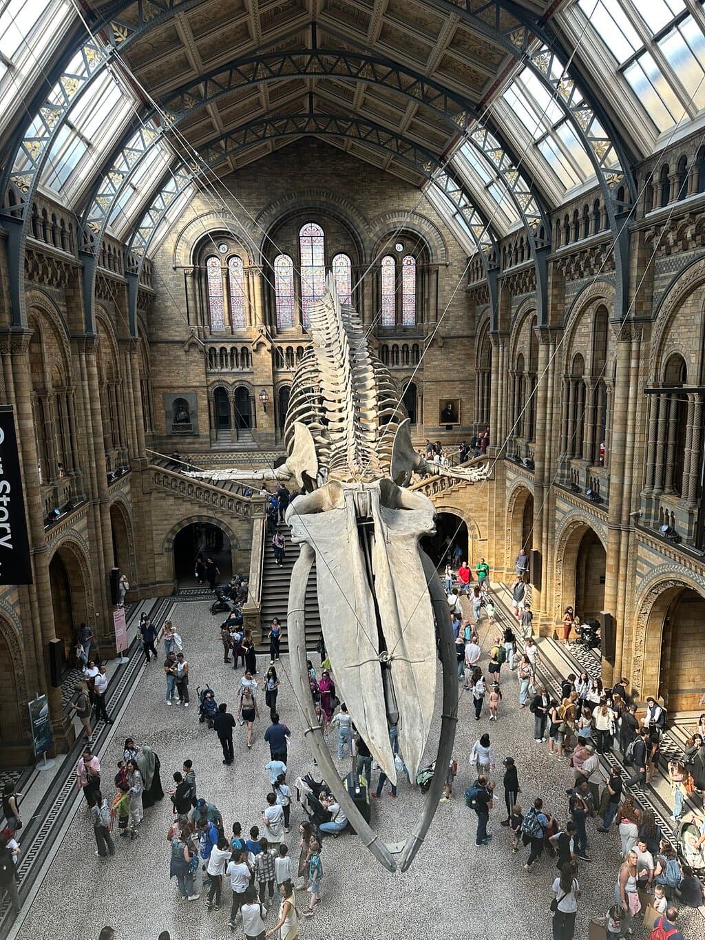 Location photo from TripAdvisor