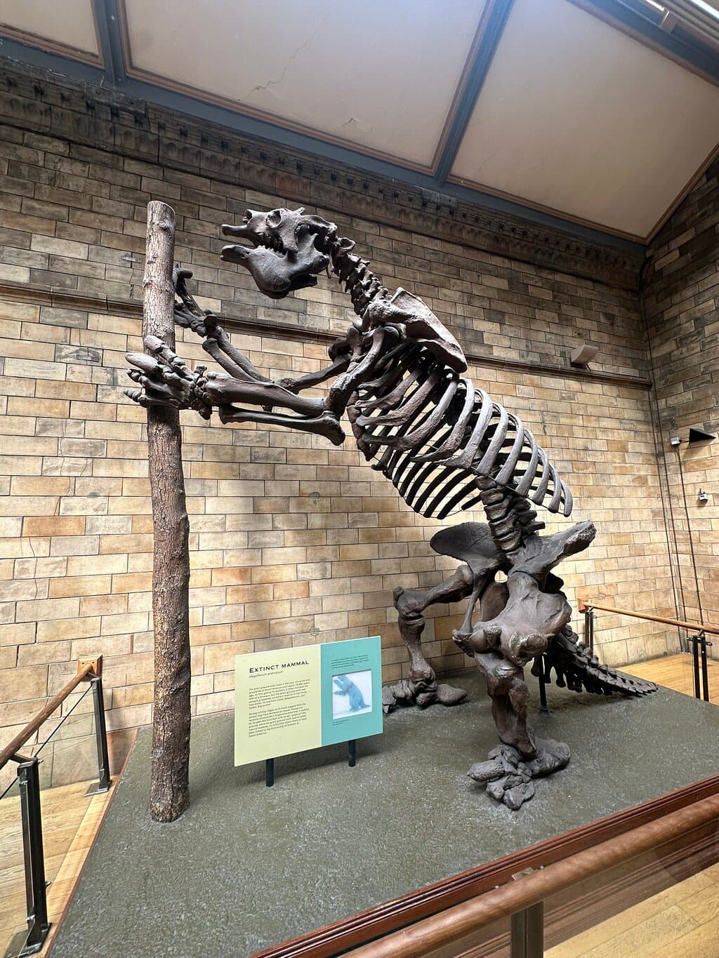 Location photo from TripAdvisor